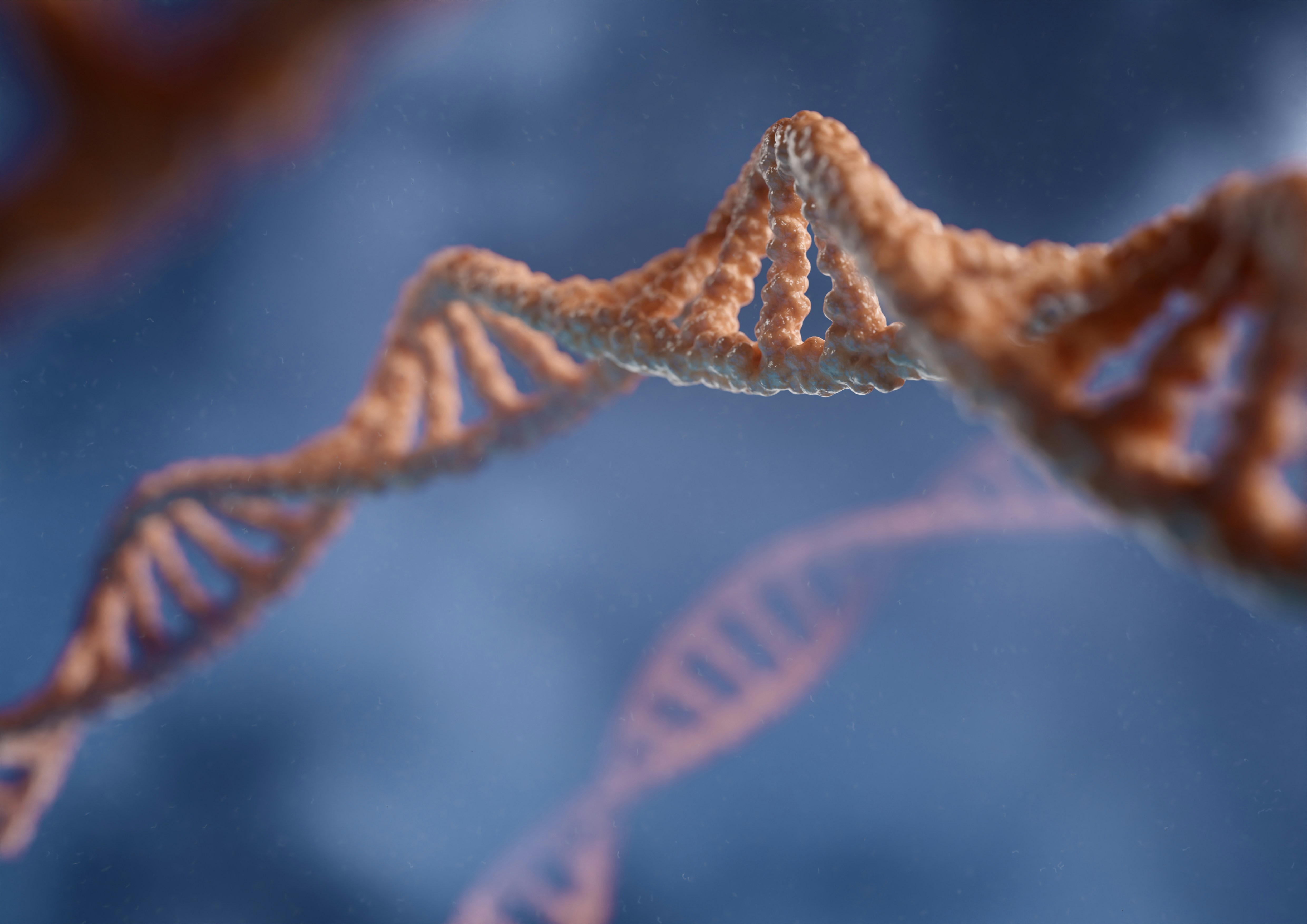 graphic of DNA
