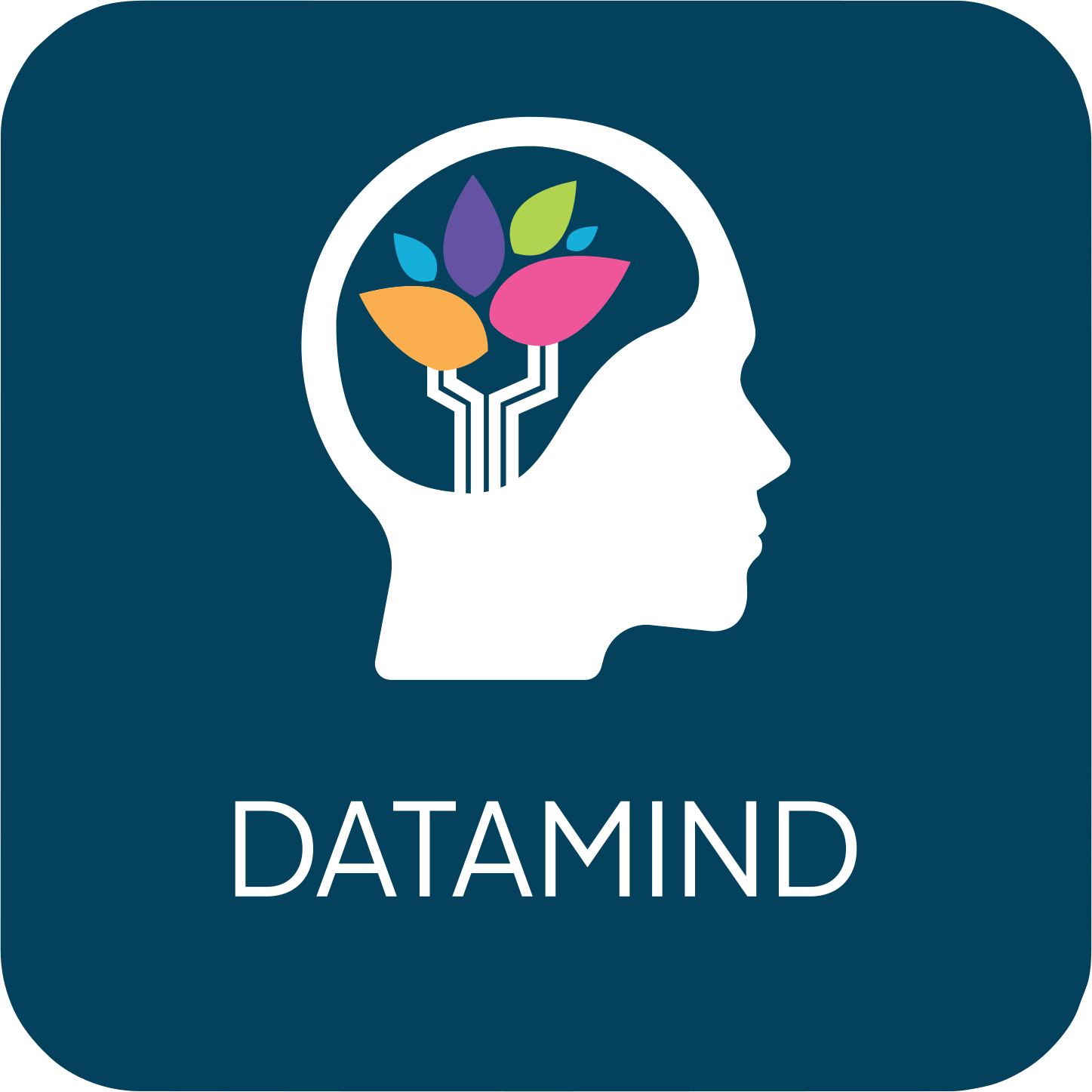 DATAMIND Logo